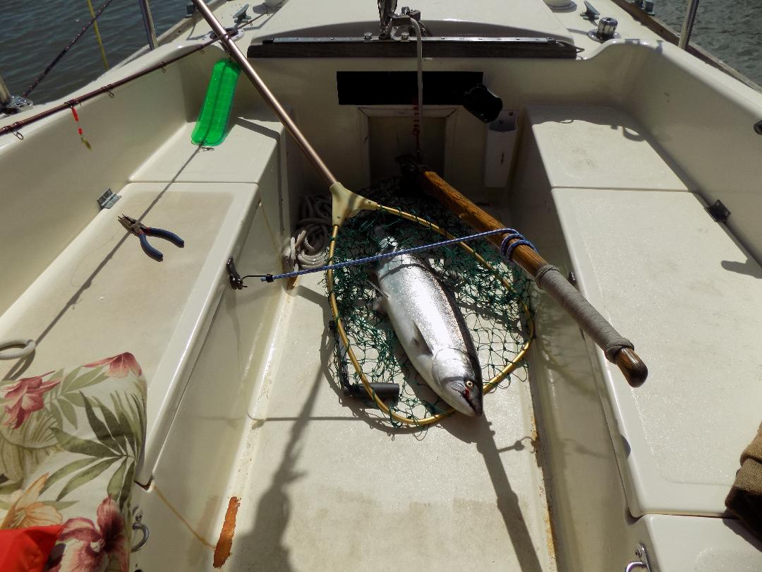 Kayak For Sale Craigslist Portland Kayak Explorer